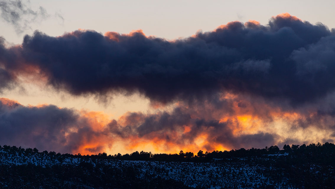 Bartgeier, Gypaète Barbu, Quebrantahuesos, Lämmergeier, Lammergeier, 