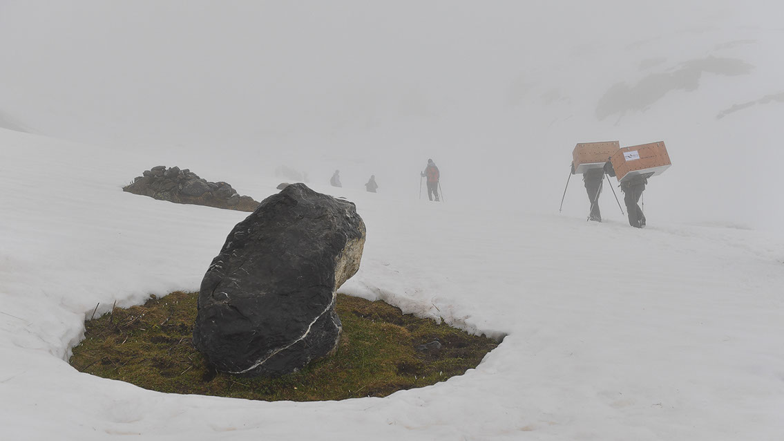 Bartgeier, Gypaète Barbu, Quebrantahuesos, Lämmergeier, Lammergeier, 