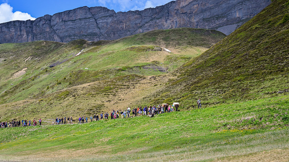 Bartgeier, Gypaète Barbu, Quebrantahuesos, Lämmergeier, Lammergeier, 