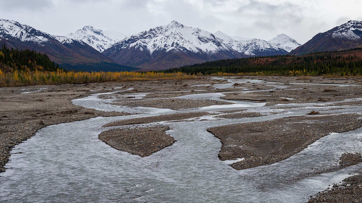 Bartgeier, Gypaète Barbu, Quebrantahuesos, Lämmergeier, Lammergeier, 