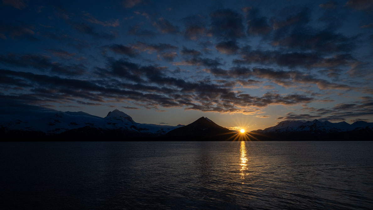 Bartgeier, Gypaète Barbu, Quebrantahuesos, Lämmergeier, Lammergeier, 
