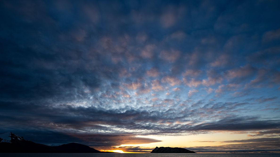 Bartgeier, Gypaète Barbu, Quebrantahuesos, Lämmergeier, Lammergeier, 