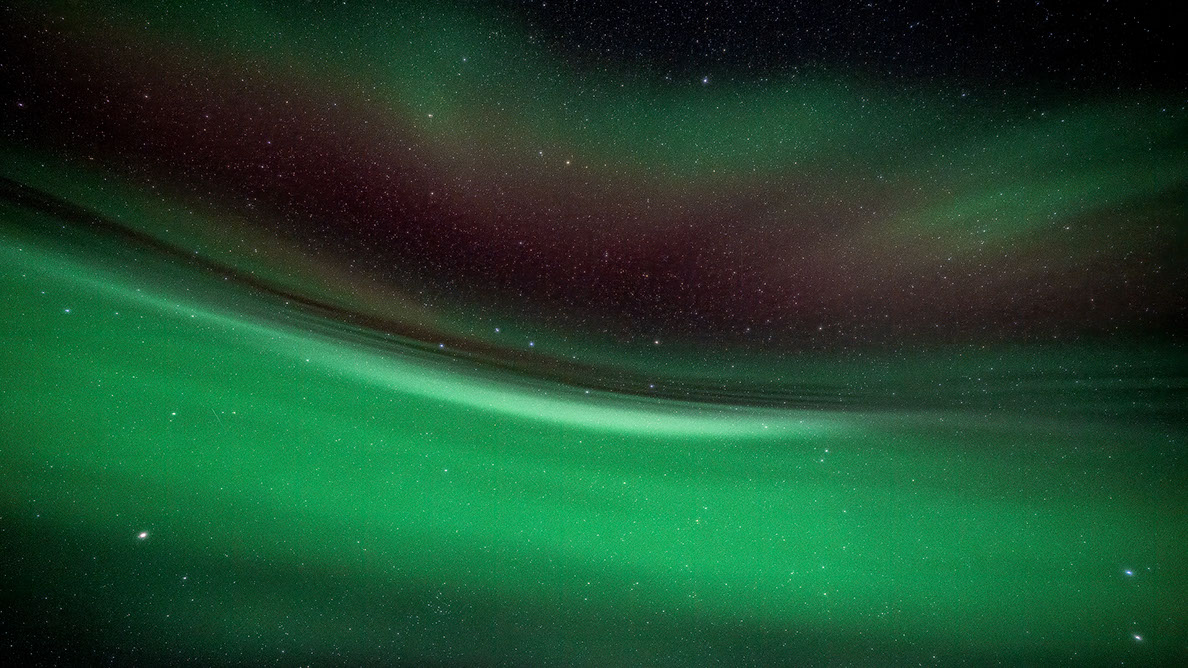 Bartgeier, Gypaète Barbu, Quebrantahuesos, Lämmergeier, Lammergeier, 