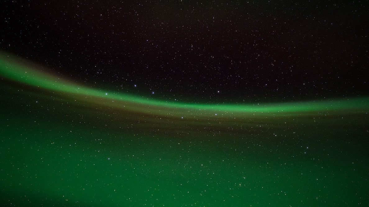 Bartgeier, Gypaète Barbu, Quebrantahuesos, Lämmergeier, Lammergeier, 