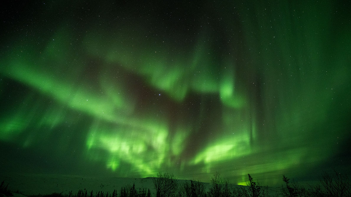 Bartgeier, Gypaète Barbu, Quebrantahuesos, Lämmergeier, Lammergeier, 