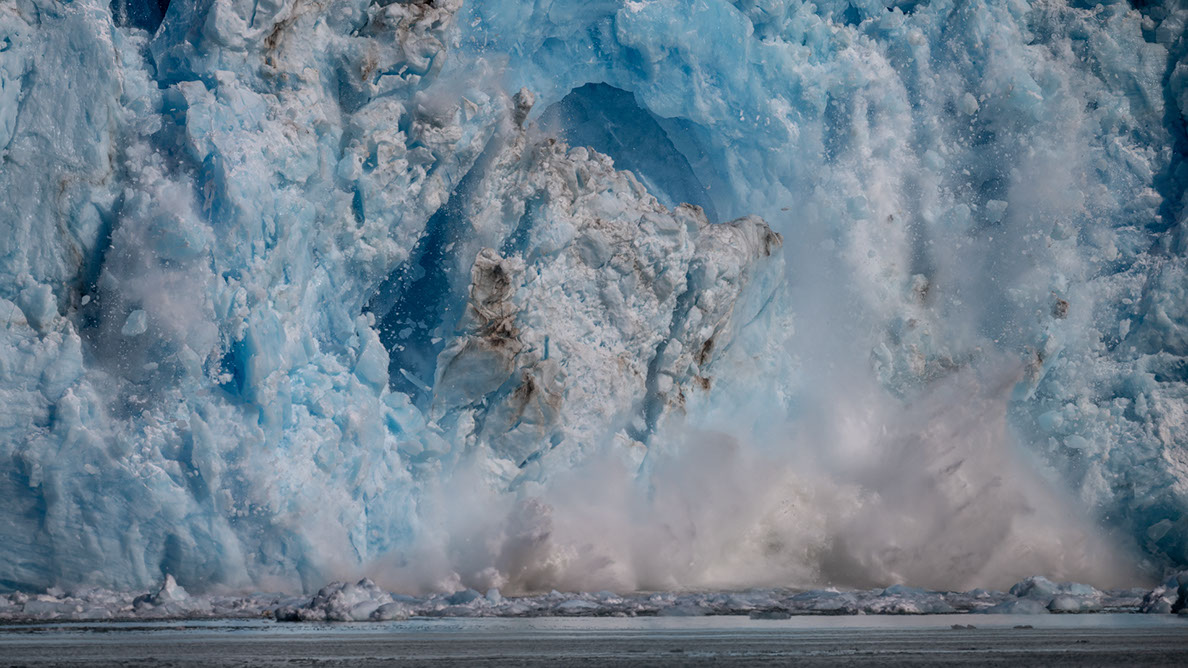 Bartgeier, Gypaète Barbu, Quebrantahuesos, Lämmergeier, Lammergeier, 