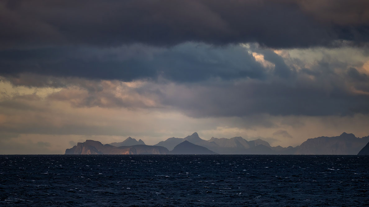 Bartgeier, Gypaète Barbu, Quebrantahuesos, Lämmergeier, Lammergeier, 