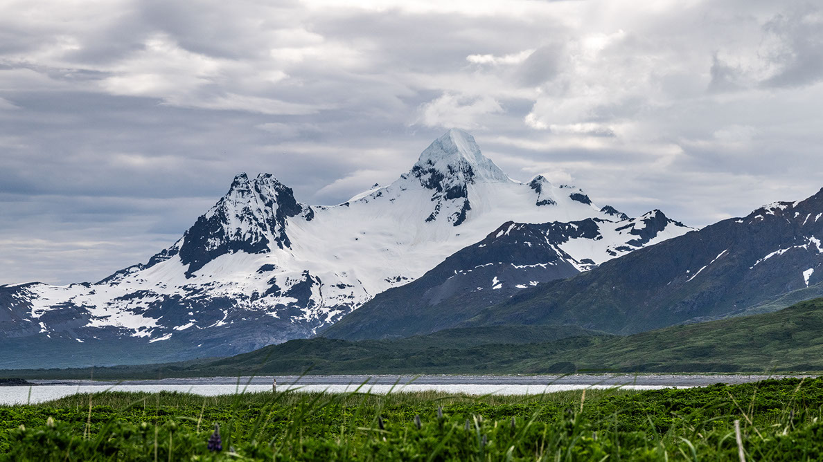 Bartgeier, Gypaète Barbu, Quebrantahuesos, Lämmergeier, Lammergeier, 