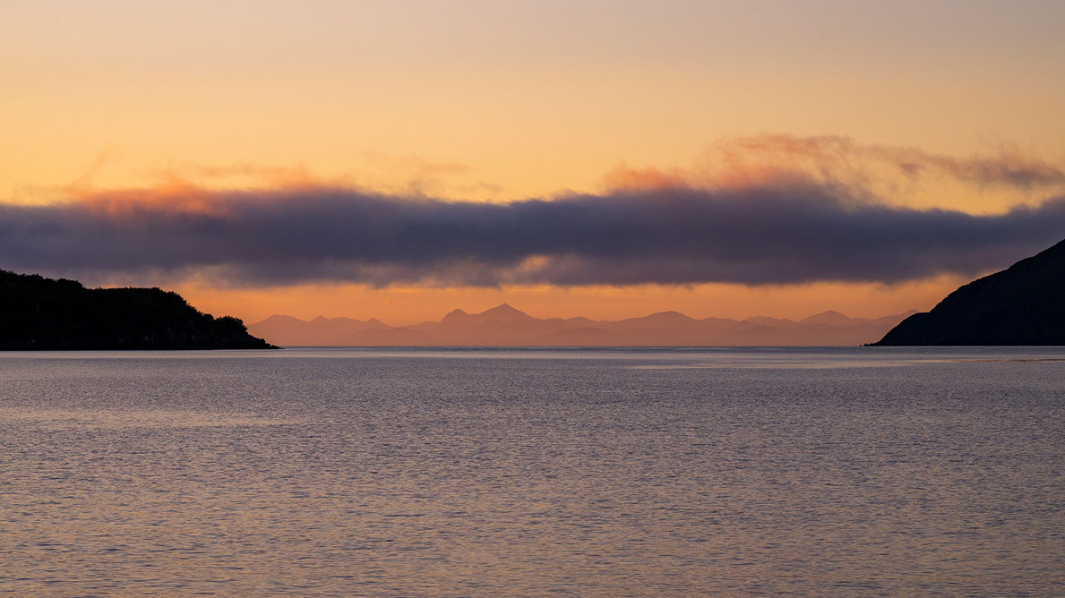 Bartgeier, Gypaète Barbu, Quebrantahuesos, Lämmergeier, Lammergeier, 