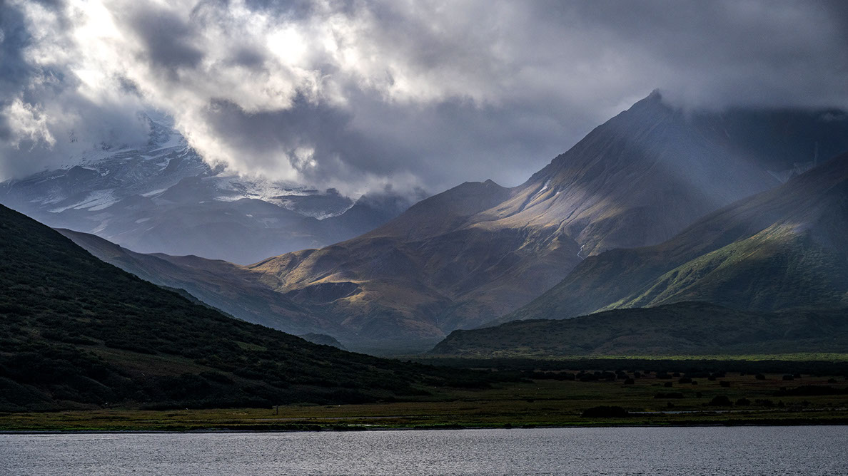 Bartgeier, Gypaète Barbu, Quebrantahuesos, Lämmergeier, Lammergeier, 
