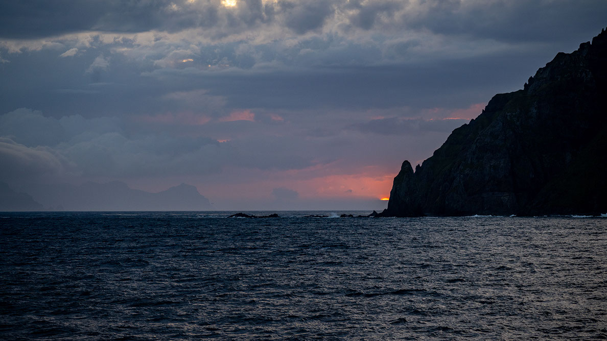 Bartgeier, Gypaète Barbu, Quebrantahuesos, Lämmergeier, Lammergeier, 