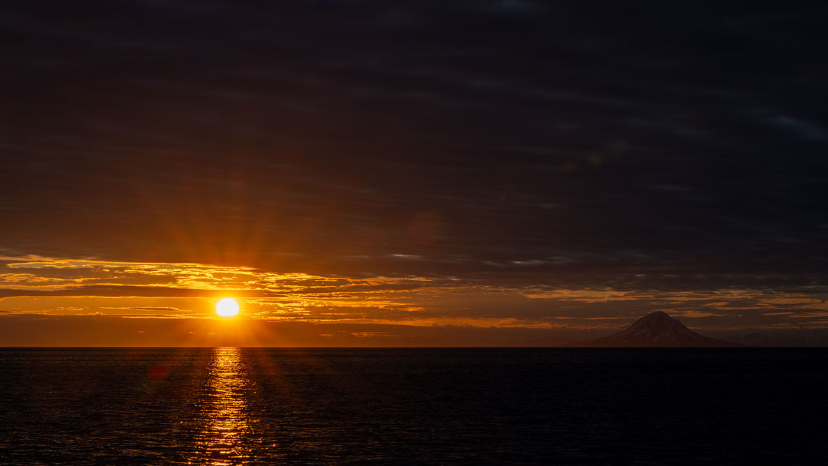 Bartgeier, Gypaète Barbu, Quebrantahuesos, Lämmergeier, Lammergeier, 