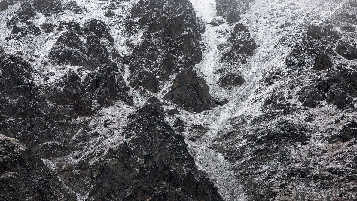 Bartgeier, Gypaète Barbu, Quebrantahuesos, Lämmergeier, Lammergeier, 