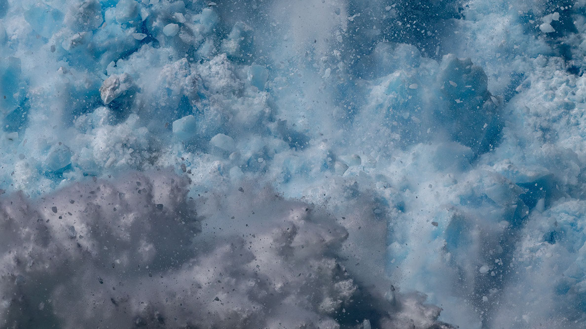 Bartgeier, Gypaète Barbu, Quebrantahuesos, Lämmergeier, Lammergeier, 